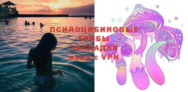 трава Арсеньев