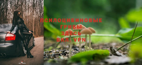 трава Арсеньев