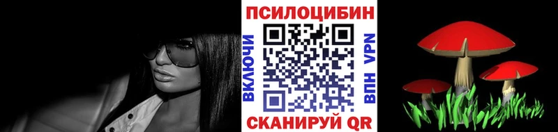 купить  цена  Новая Ляля  Псилоцибиновые грибы Psilocybine cubensis 